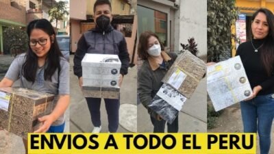 collage-envios4